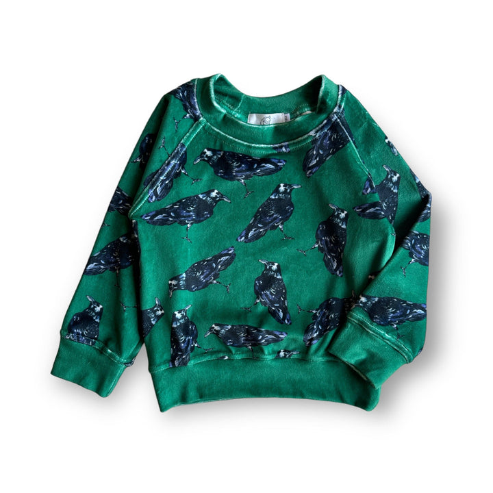 Best Day Ever Kids Baby & Toddler Tops Signature Velvet Pullover - The Raven buy online boutique kids clothing