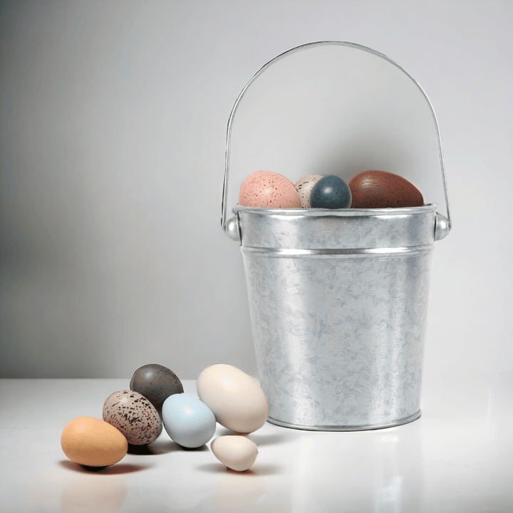 Best Day Ever Kids Educational Toys A Dozen Bird Eggs buy online boutique kids clothing