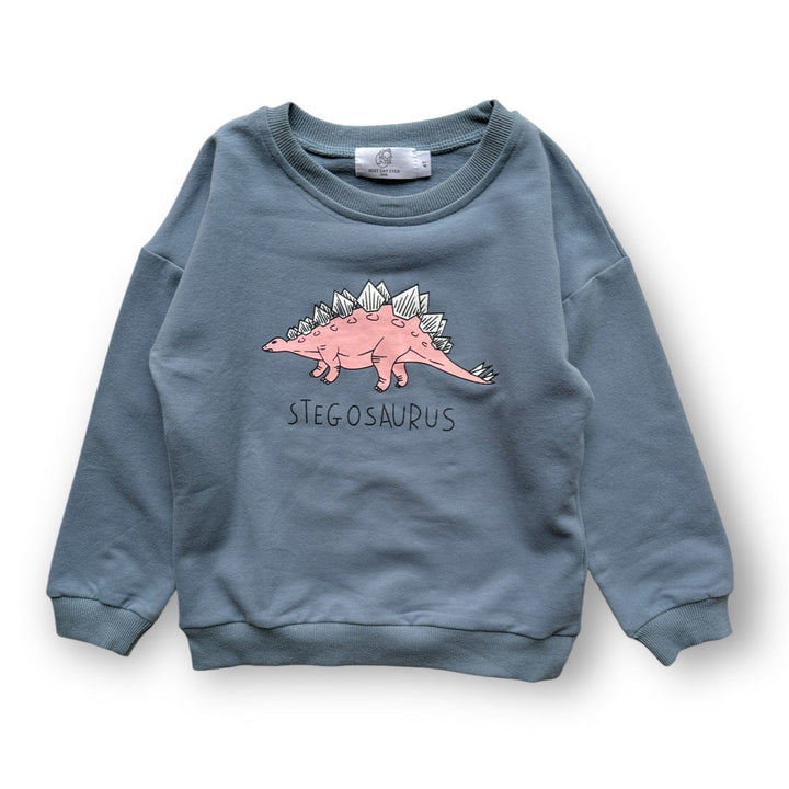 Best Day Ever Kids Baby & Toddler Tops 12-18m / Stegosaurus Dino Lover Pullover buy online boutique kids clothing