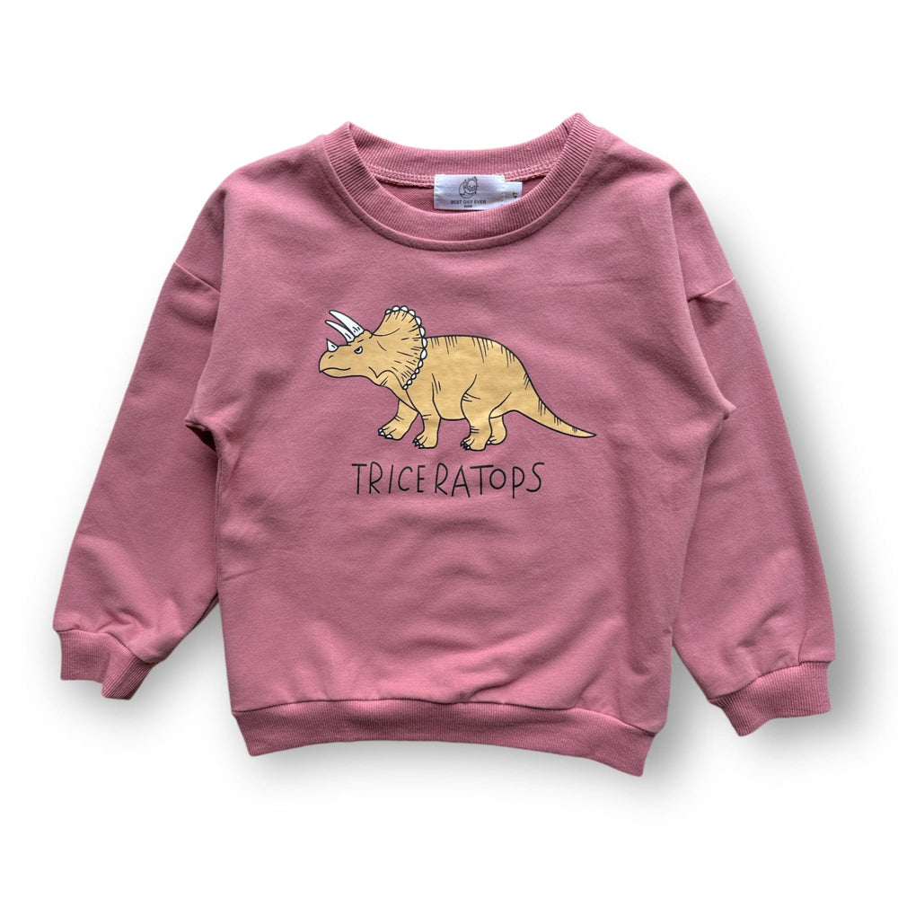 Best Day Ever Kids Baby & Toddler Tops 12-18m / Triceratops Dino Lover Pullover buy online boutique kids clothing