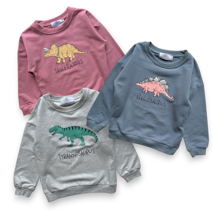 Best Day Ever Kids Baby & Toddler Tops Dino Lover Pullover buy online boutique kids clothing