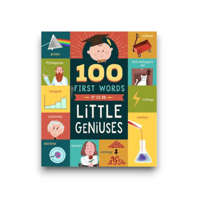 Best Day Ever Kids Books 100 First Words For Little Geniuses buy online boutique kids clothing
