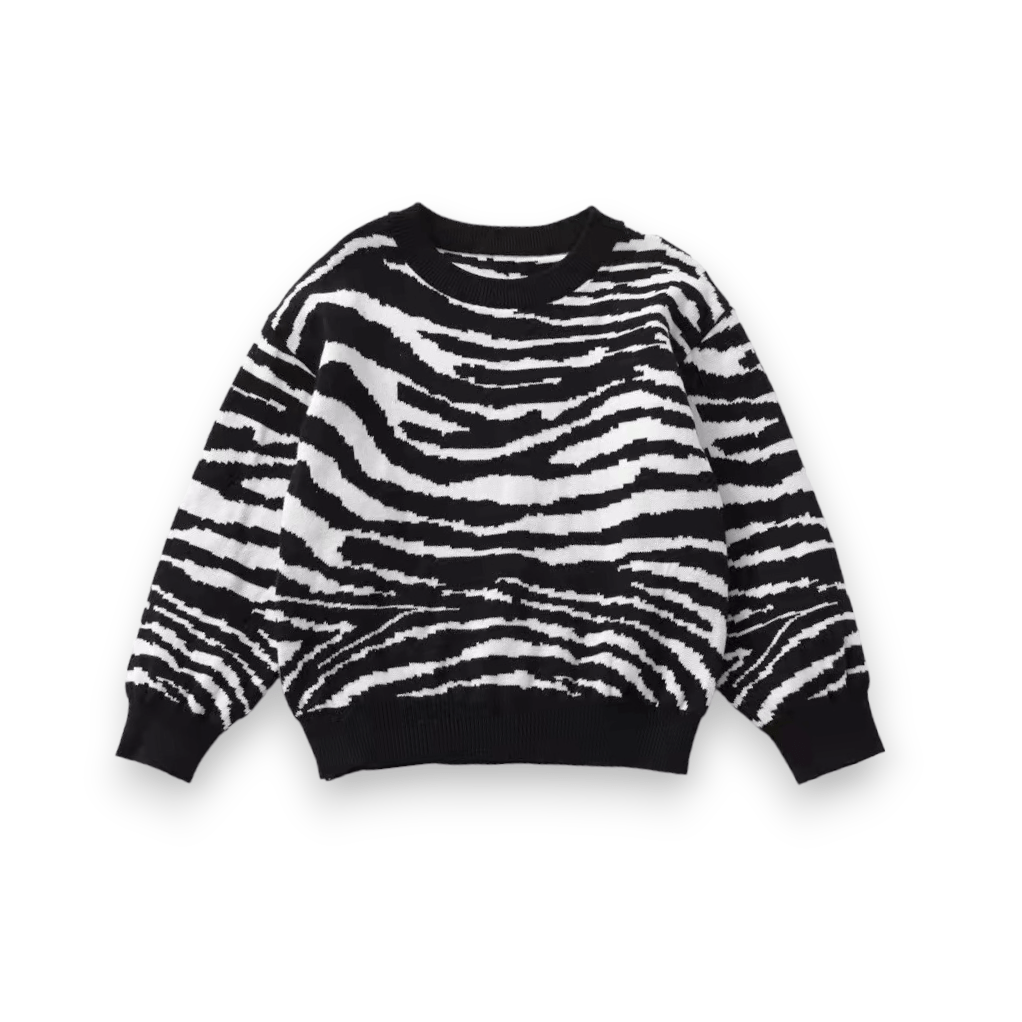 Best Day Ever Kids Sweaters Zebra Cadabra Pullover Sweater buy online boutique kids clothing