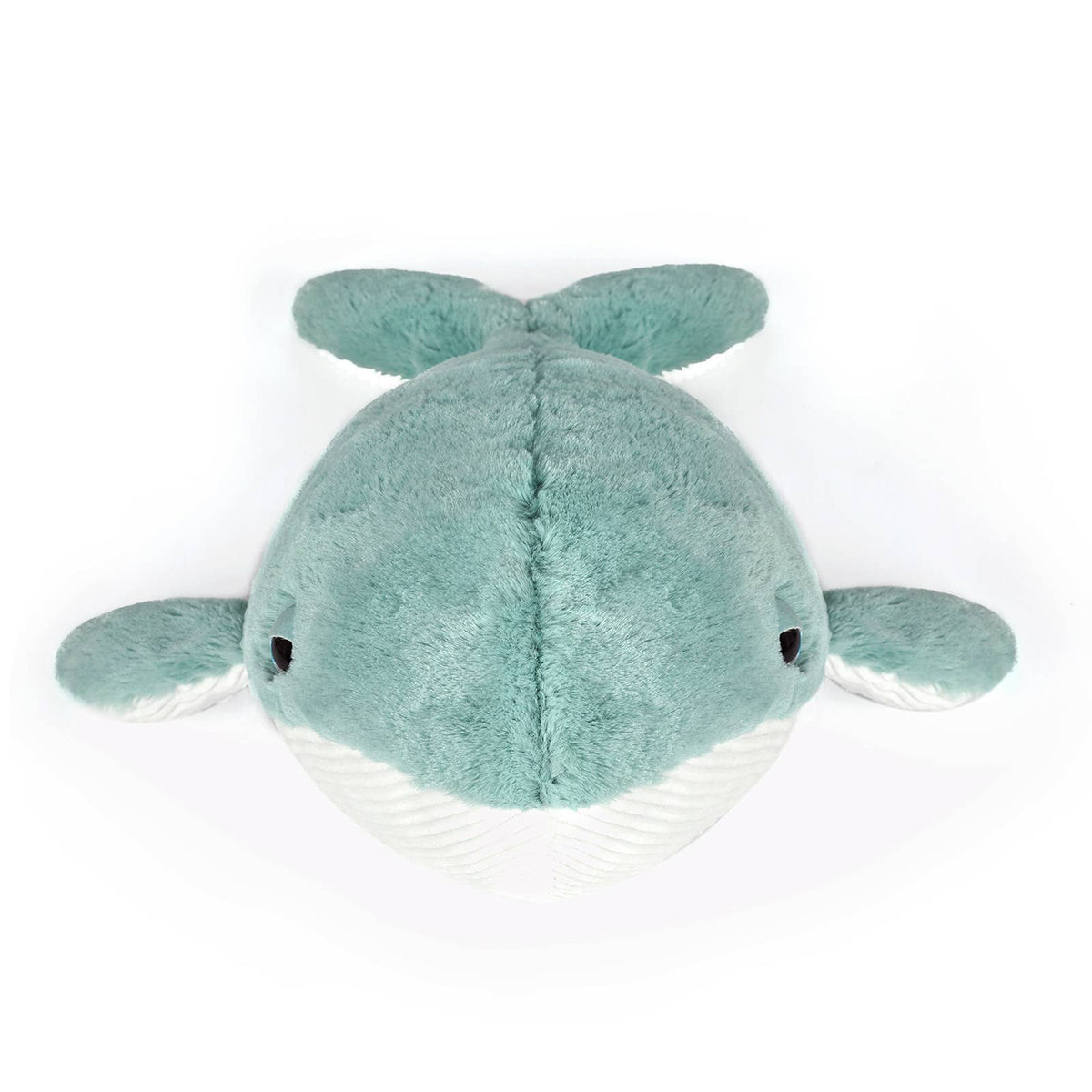 Hurley the Whale, front view