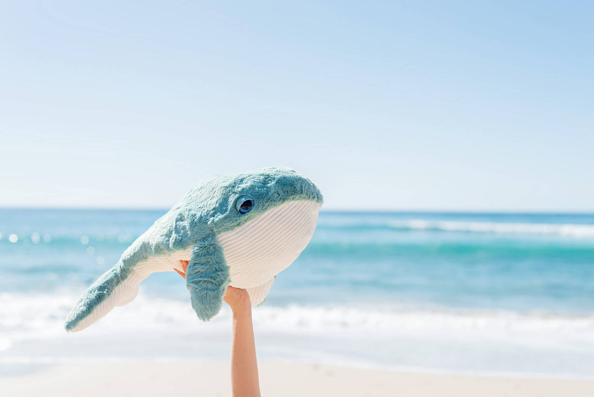 Hurley the Whale held up against the ocean